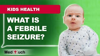 What are Febrile Seizures [upl. by Eliathan]