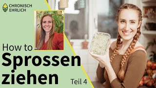 Sprossen selber ziehen im Sprossenglas  Sprossensamen Tutorial Teil 4 [upl. by Farmelo601]