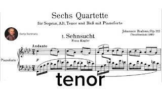 Sehnsucht by Johannes Brahms Tenor [upl. by Fredkin533]