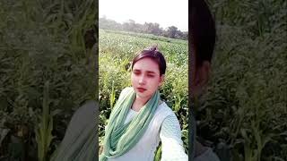 Bilionera new english video song2024 english song englishsongs [upl. by Aleekat]