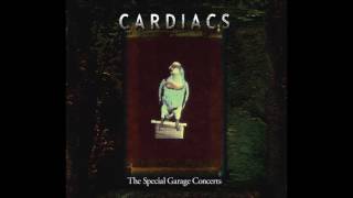 Cardiacs  Icky Qualms Live 2003 [upl. by Nodlehs]