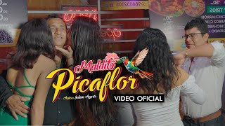 Maldito Picaflor  Cómplices del amor Feat Alegría Huaringeña  Video Clip 2024 [upl. by Keavy119]