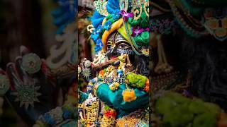 Mathe pr pankh mor viral short video new status jay shree krishna ❤️🙏 happy krishna janmashtami [upl. by Seilenna]