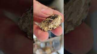 Tips for testing rough stones with cheap diamond detectors amp discussing large stone tool collection [upl. by Naed]