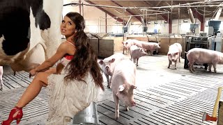 Inside the Modern Pig Farm withme and Pretty Girl⏐Raising and Caring for Pigs Unveiled [upl. by Beutler348]