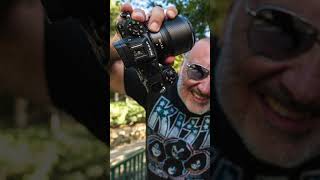 My Nikon D850 to Nikon Z6 to Nikon Z9  My Nikon DSLR to mirrorless transition shorts nikon z9 [upl. by Phyllida]