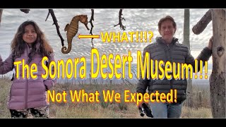 The Arizona Sonora Desert Museum  S2E6 [upl. by Atnwahsal57]