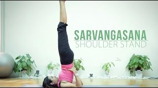 How to do Sarvangasana  Shoulder Stand [upl. by Etnahsal976]