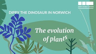 Dippy the Dinosaur in Norwich The Evolution of Land Plants 🌿 [upl. by Ardnaskela]