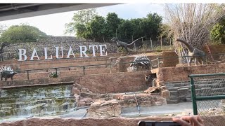 Baluarte Zoo Vigan Ilocos Norte [upl. by Haret]