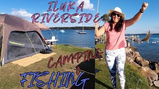 Heaps Of Fish Camping At Iluka Riverside Tourist Park [upl. by Adnirod126]