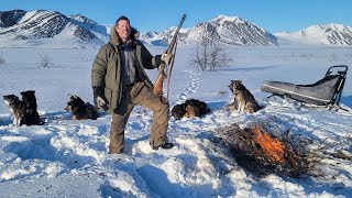 3 Days Camping Hunting and Mushing in the Arctic [upl. by Attelrac]