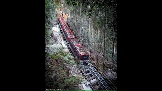 katoomba scenicworld steepestrail [upl. by Haral12]