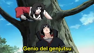 SECRETOS y CURIOSIDADES sobre KURENAI SARUTOBI  Dash Aniston [upl. by Bacon]