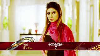 NAGAKANYAKA 2  Today at 8 PM  Surya TV [upl. by Desdee]