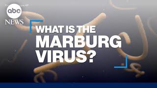 What is the Marburg virus disease [upl. by Dianthe]