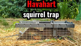 Havahart Squirrel trap [upl. by Niliac]