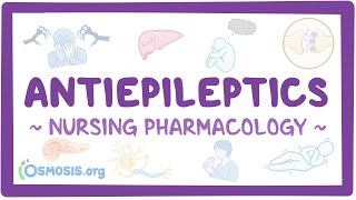 Antiepileptics Nursing Pharmacology [upl. by Eiramlirpa]