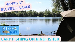 CARP FISHING AT BLUEBELL LAKES carpfishing carpfishing2024 fishing bluebell [upl. by Aneris]