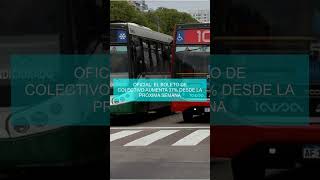 Oficial el boleto de colectivo aumenta 37 desde la próxima semana [upl. by Timmons]