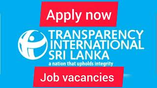 Transparency International Sri Lanka  Internship job vacancies 2024 jobvacency governmentjobs [upl. by Ericka301]