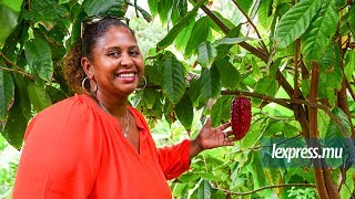 Cacao mauricien la success story de Gérard et Josiane Cangy [upl. by Malilliw66]