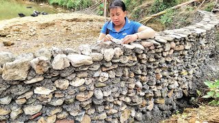 Build a soil embankment wall and clean up the landslide behind the house Lý Nhệ [upl. by Assital381]