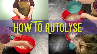 How To Autolyse Sourdough For Beginners Why Do You Need It [upl. by Richmal]