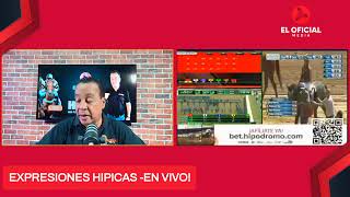 NOTICIAS HIPICAS DE BELMONT Y CHURCHILL DOWNS  EXPRESIONES HIPICAS [upl. by Ianaj]