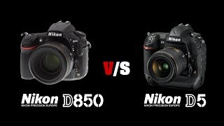 Nikon D850 Vs Nikon D5 [upl. by Cynthie]