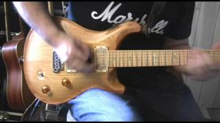 Chappers checks out a PRS Swamp Ash Special [upl. by Sophey239]