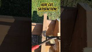 SATISFACTION Removing your kerf cut pieces kerfcut notches hammertime circsaw [upl. by Lucian]