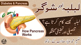 How Pancreas Work  Pancreas amp Diabetes  Lablaba or sugar  IBNETABEEB ®  IBNE0092 [upl. by Aushoj]