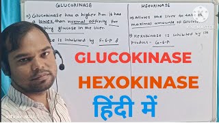 glucokinase vs hexokinase in hindi  Glucokinase  Hexokinase glucokinase hexokinase vs [upl. by Laoj241]