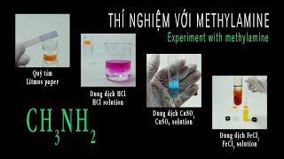 Thí nghiệm với methylamine CH3NH2  Quỳ tím CH3NH2  HCl CH3NH2  CuSO4 CH3NH2  FeCl3 [upl. by Kokaras683]