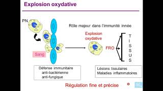 immunité antibactérinne et antiparasitaires partie 1 [upl. by Anaidiriv]