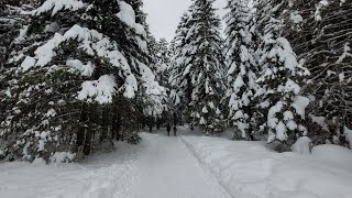 Propozycja na lekki krótki spacer z dziećmi lub dla seniora  Zakopane Dolina Białego zimą [upl. by Lecirg]