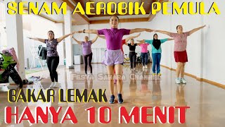 SENAM AEROBIK LAGU TERBARU DANGDUT KOPLO  AEROBIC PEMULA 10 MENIT [upl. by Nivrae]