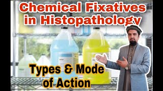 Fixatives types and mode of action  Elearn with Zakir [upl. by Niles]