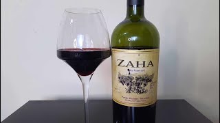 0459  Vinho Bodega Teho Zaha Cabernet Franc 2018 vinho vino wine [upl. by Eocsor]