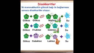 Ritmi Yükselten Bilgiler7 Disakkaritler [upl. by Malim]