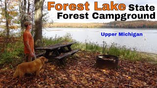 Forest Lake Michigan State Forest Campground Overview [upl. by Oalsecnew781]