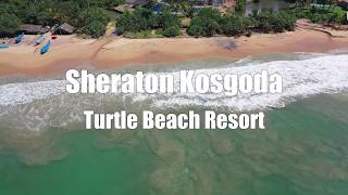 Sheraton Kosgoda Turtle Beach Resort [upl. by Niwled302]