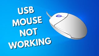 How To Fix USB Mouse Not Working on Windows 1110 [upl. by Megdal]