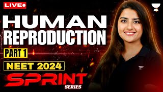 Human Reproduction Part 1  NEET 2024 Sprint Series  Seep Pahuja [upl. by Solegnave]