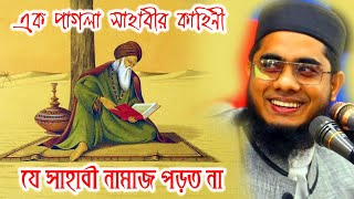 Mahmudabadi Waz  Muft shahidur rahman waz  Mufti Shahidur Rahman Mahmudabadi  Mahmudabadi BD Waz [upl. by Gnuhp170]