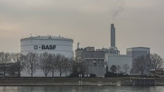 Chemiebranche BASF kündigt weiteren Stellenabbau in Ludwigshafen an [upl. by Timrek]