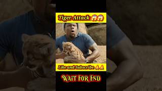 Tiger Attack। Movie explain। hindi movie explain। shorts movie explained [upl. by Reklaw]