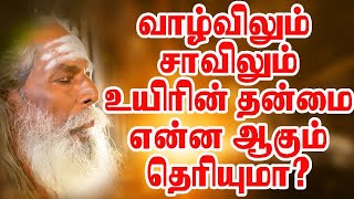 உன் வாழ்விலும் சாவிலும் உயிரின் தன்மை என்ன தெரியுமா BRAMMA SUTIRA KULU PADASALAI NITHYANANTHA SWAMY [upl. by Bensen]