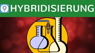 Hybridisierung amp DNAHybridisierungsverfahren einfach erklärt  SouthernBlotting amp Bsp  Analyse 2 [upl. by Rosene]